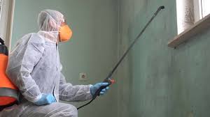 Biohazard Mold Removal in East Moline, IL